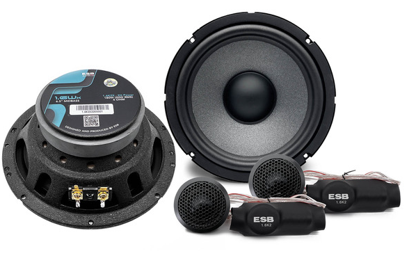 ESB Audio 1000 Series 6.5" 2-Way Speakers