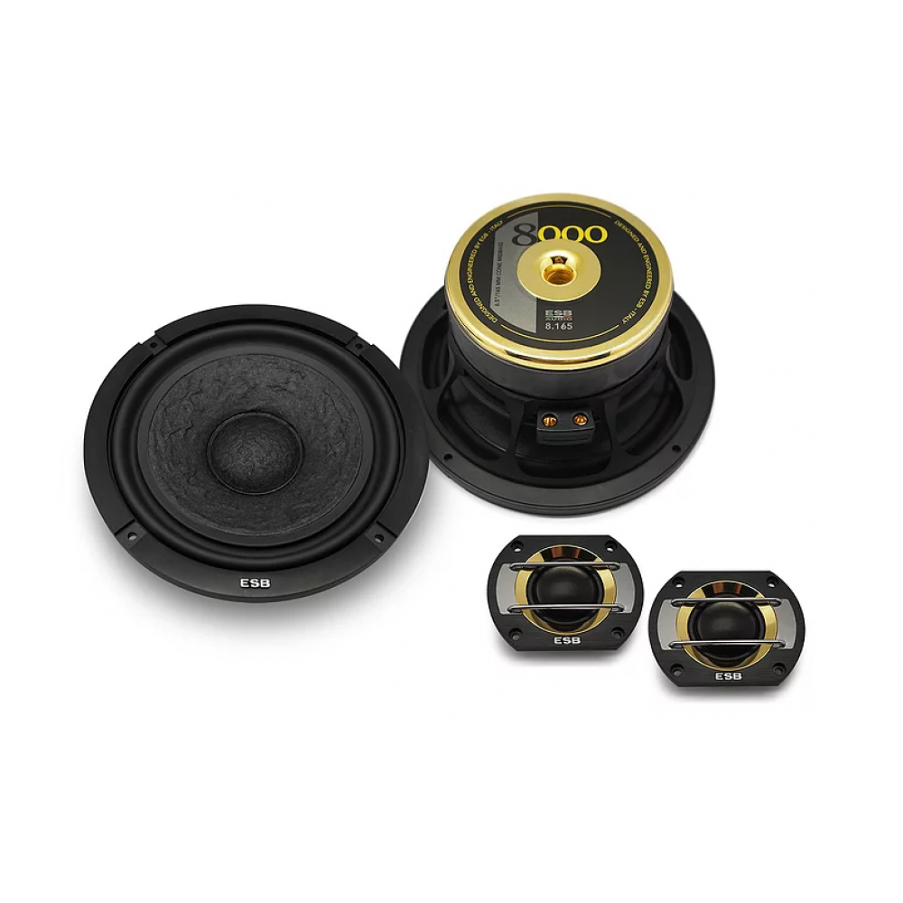 ESB Audio 8000 Series 2-Way Speaker System