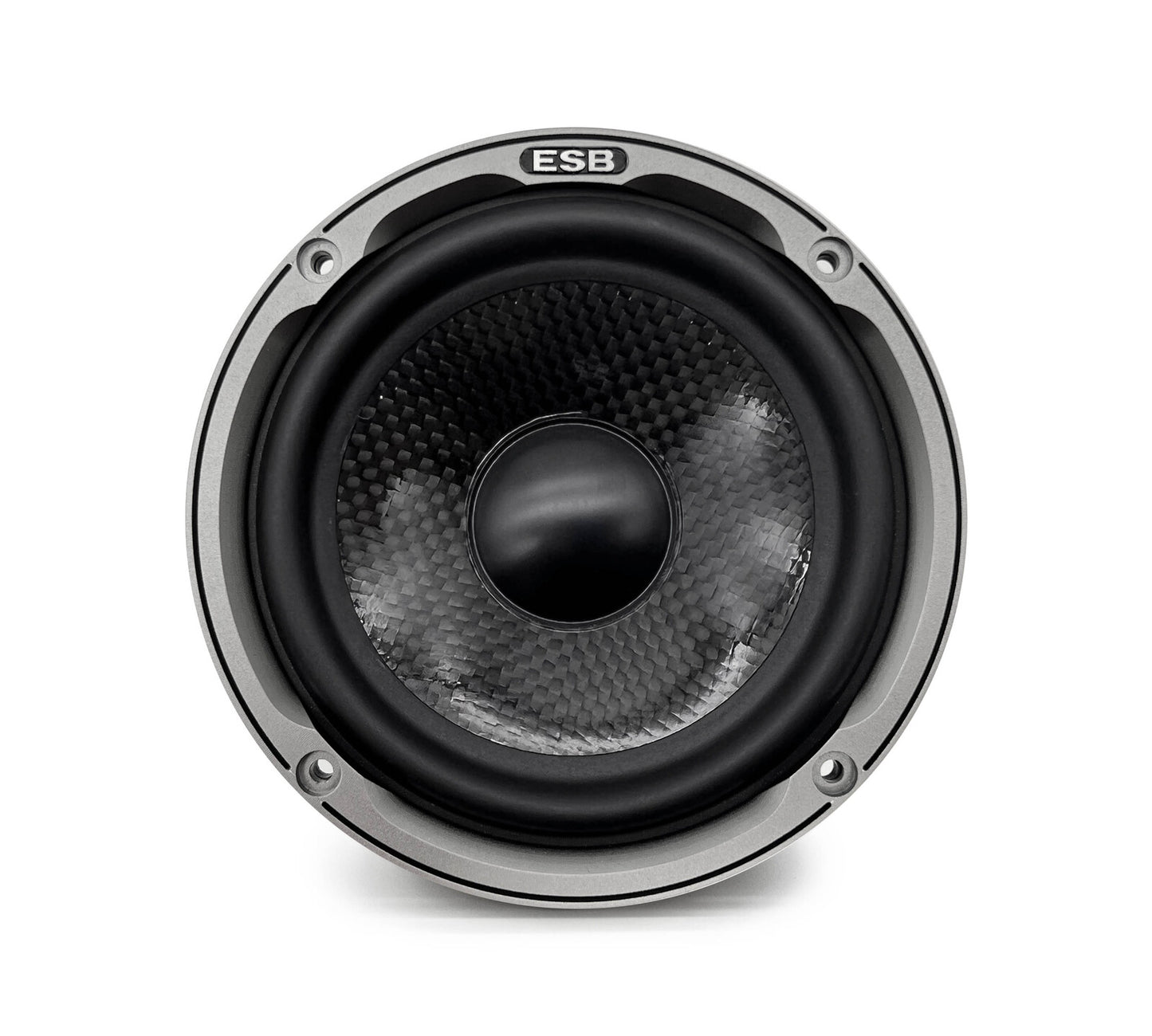 ESB Audio 9000 Series 4"/100 mm High-End Cone Midrange