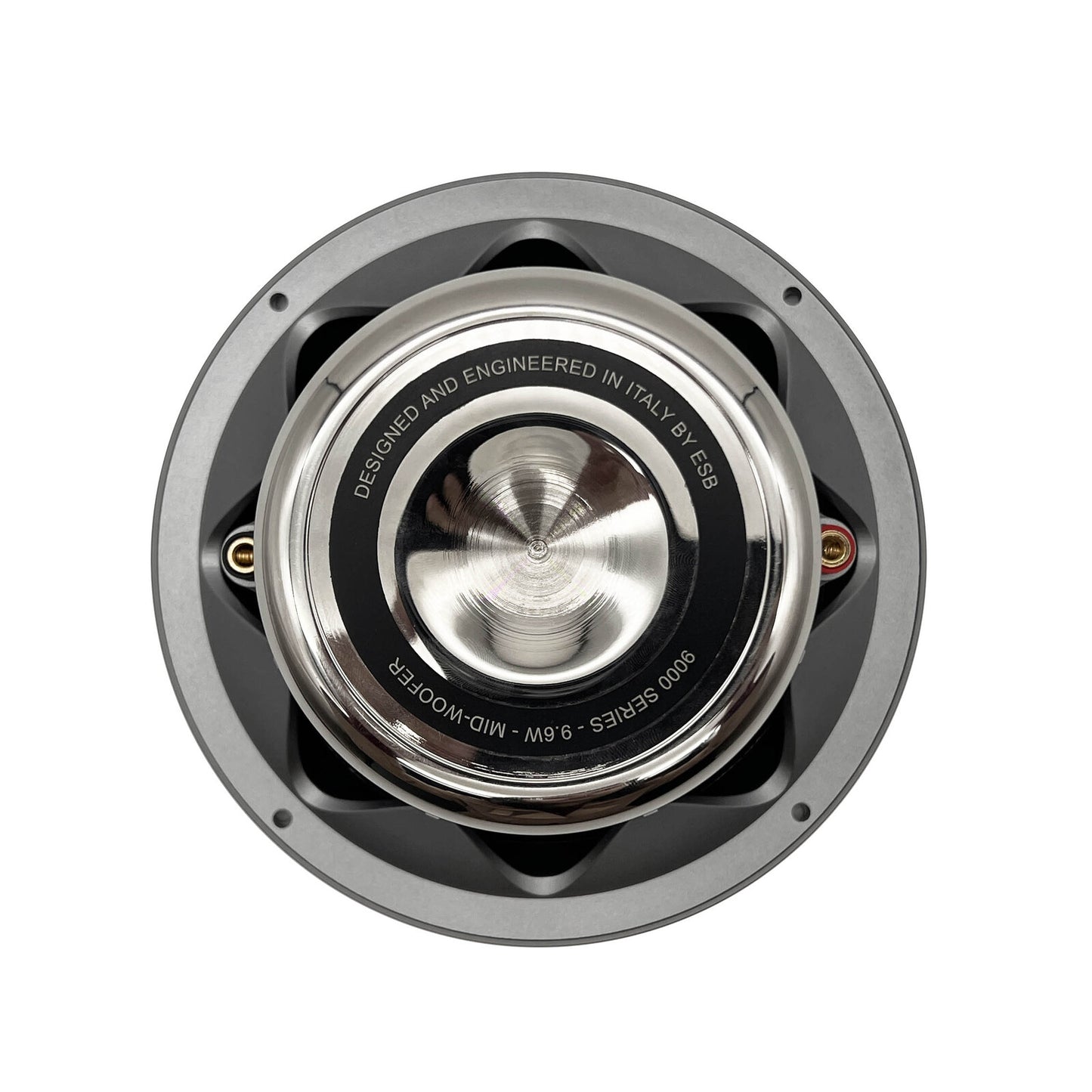 ESB Audio 9.6W 6.5"/165 mm High-End Mid-Woofer