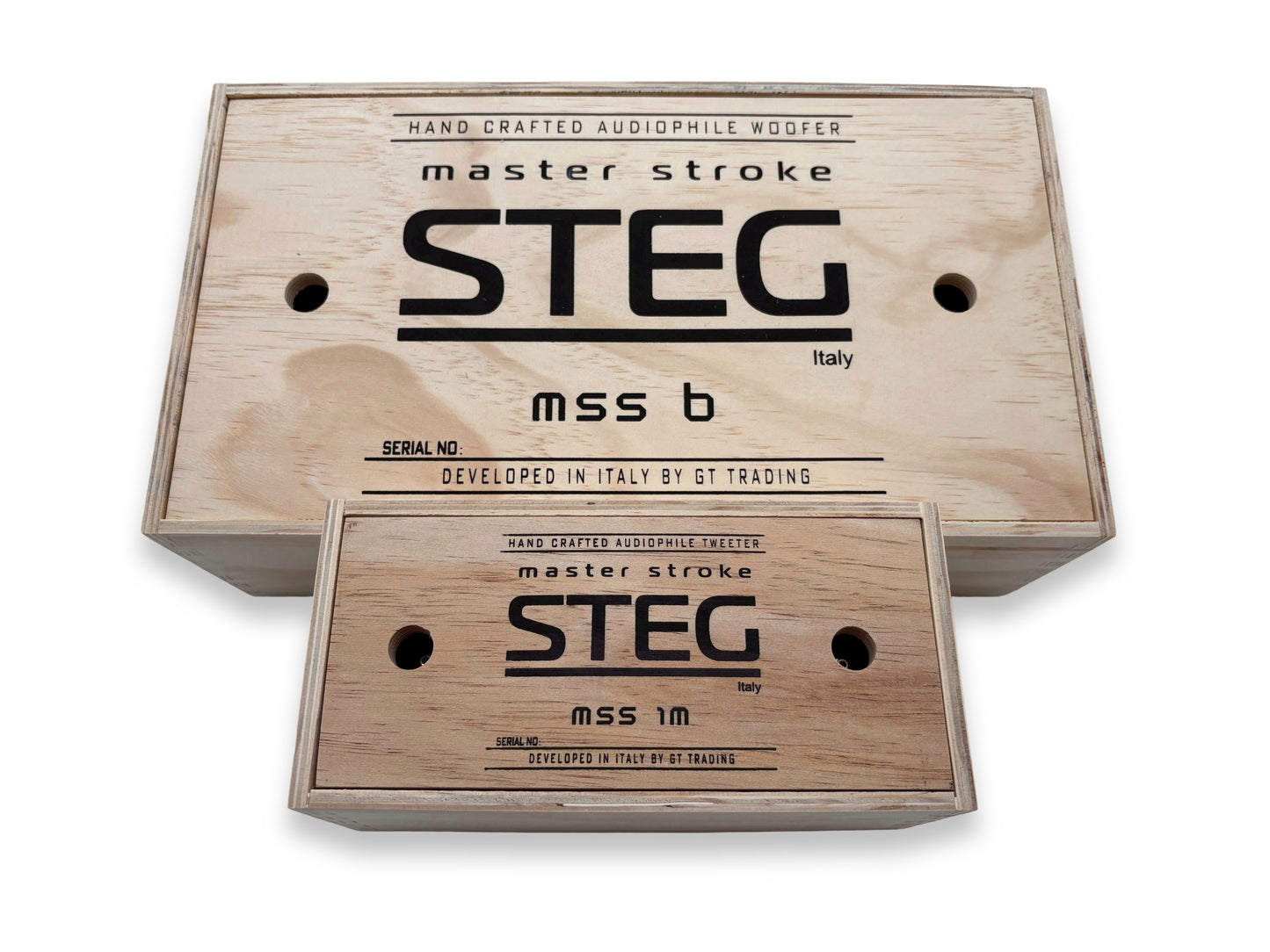 Steg Master Stroke | MSS6 / MSS1 - Two-way 6.5" Car Audio Component Speaker Set