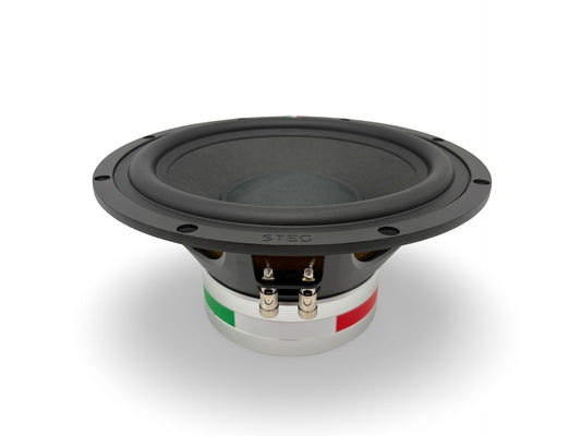 Steg Master Stroke | SS10 - 10" Car Audio Subwoofer