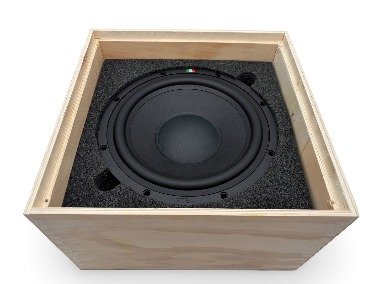 Steg Master Stroke | SS10 - 10" Car Audio Subwoofer