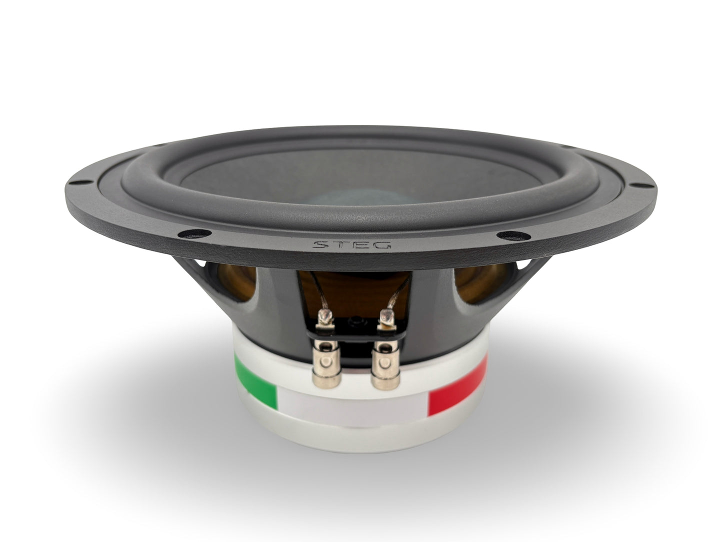 Steg Master Stroke | SS10 - 10" Car Audio Subwoofer