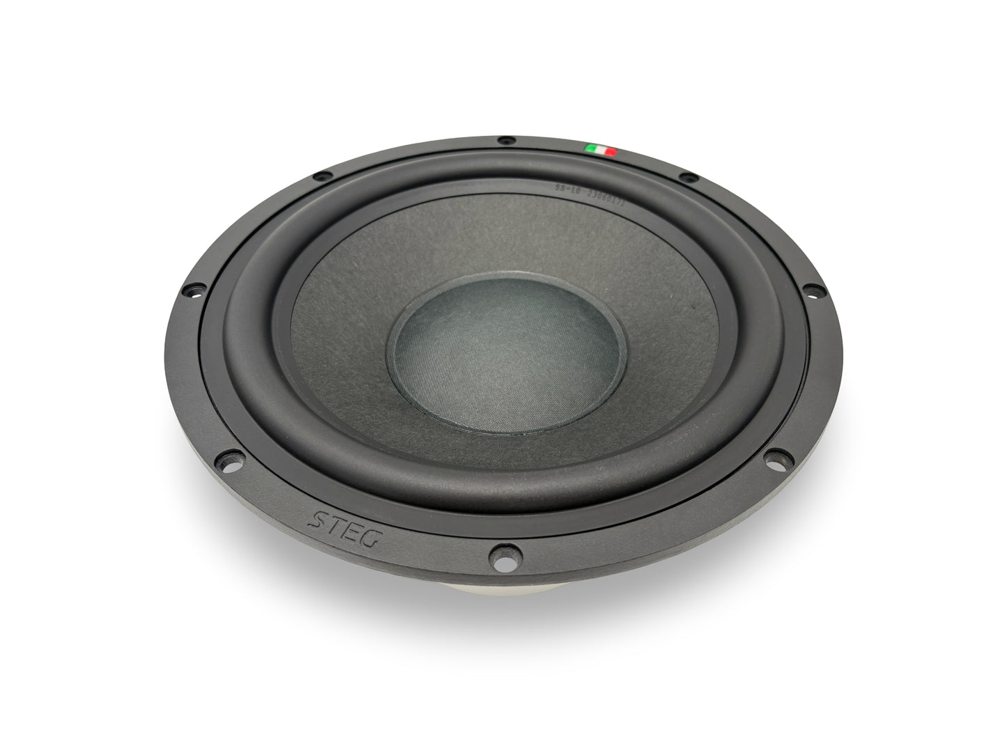 Steg Master Stroke | SS10 - 10" Car Audio Subwoofer