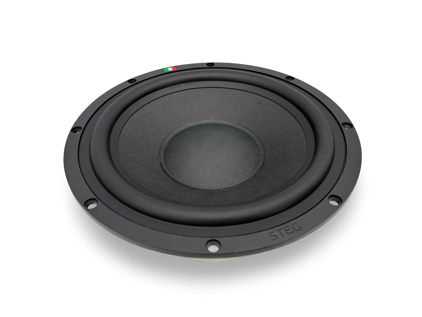 Steg Master Stroke | SS10 - 10" Car Audio Subwoofer
