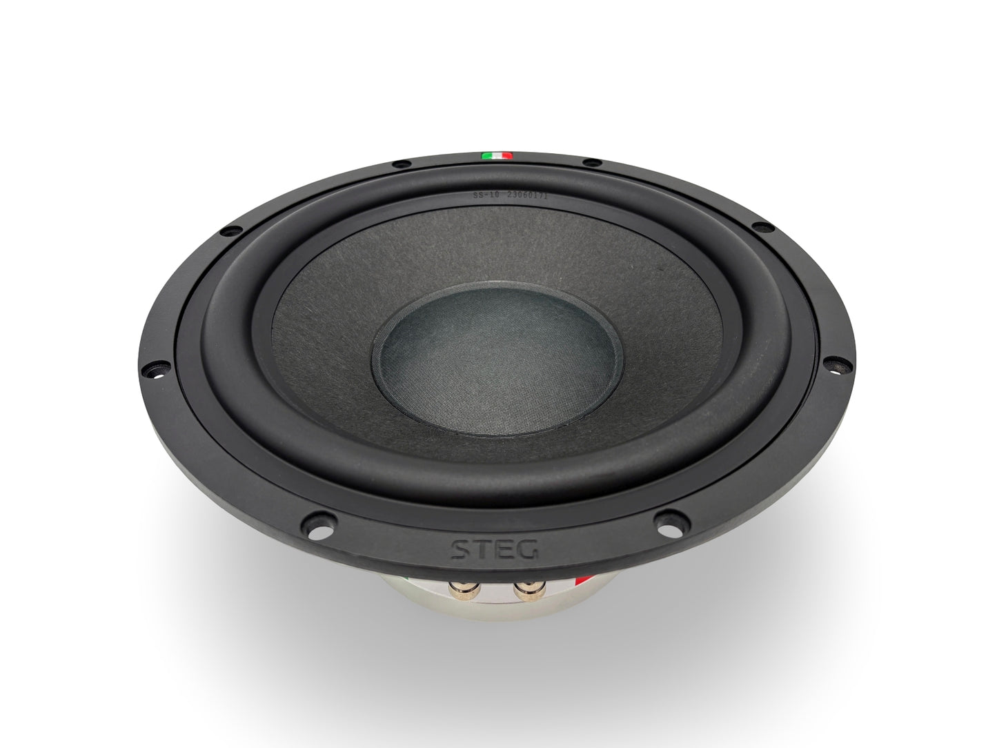 Steg Master Stroke | SS10 - 10" Car Audio Subwoofer