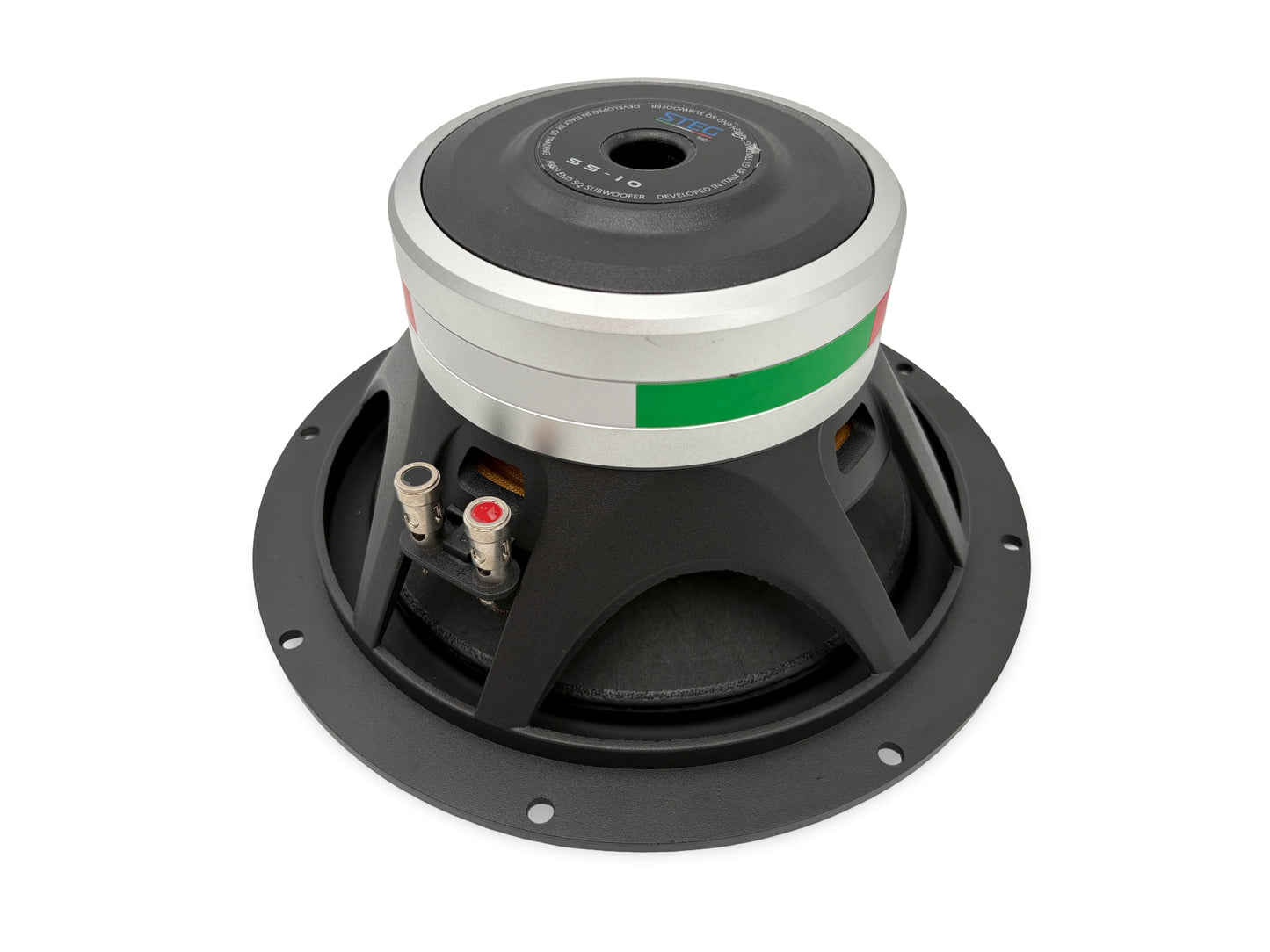 Steg Master Stroke | SS10 - 10" Car Audio Subwoofer